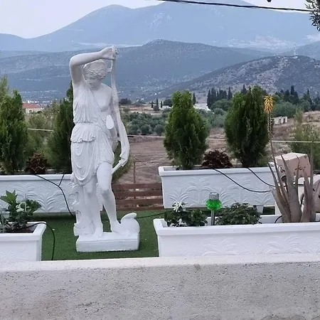 Artemisia *